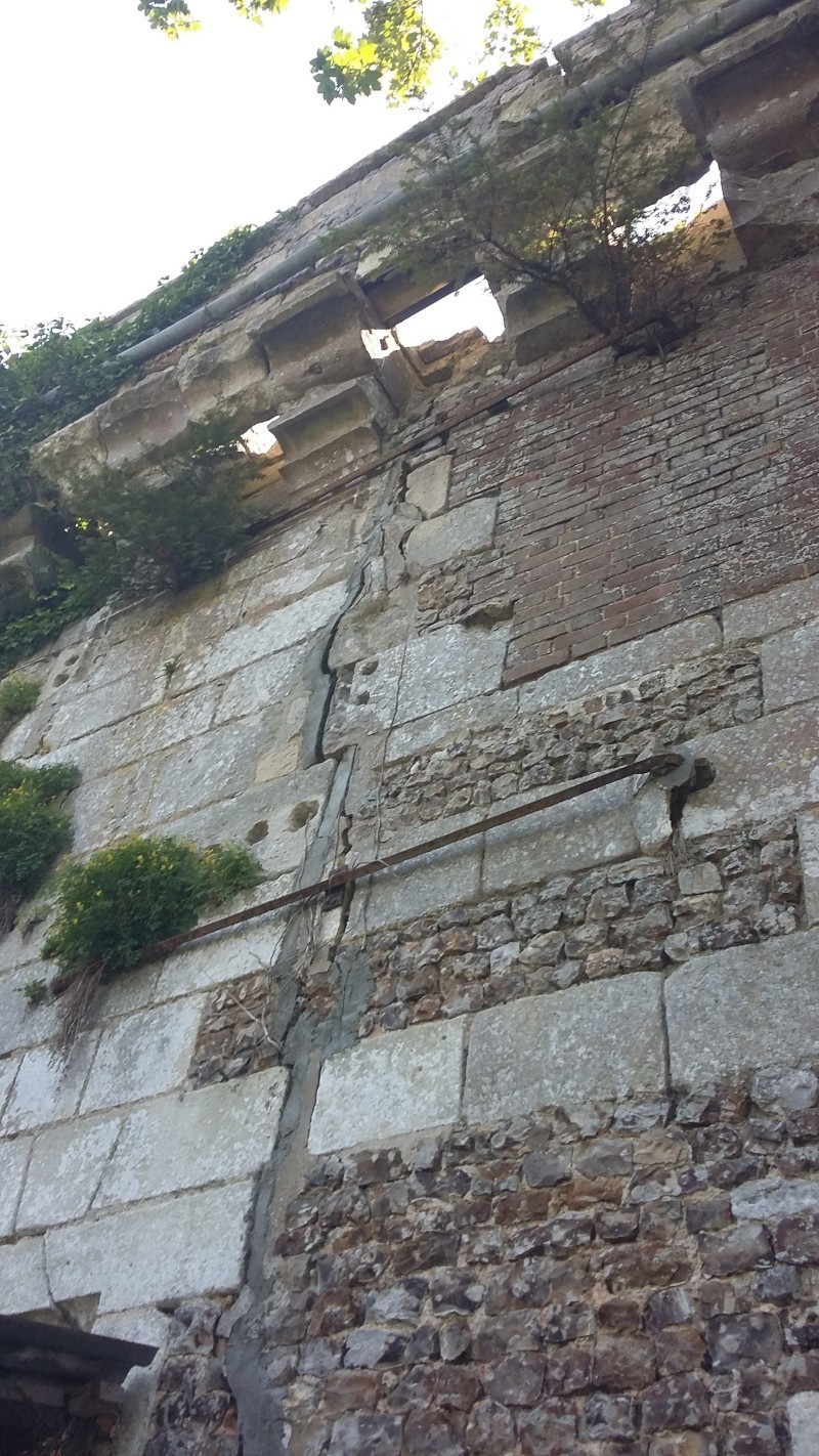 Château de Neubourg 2