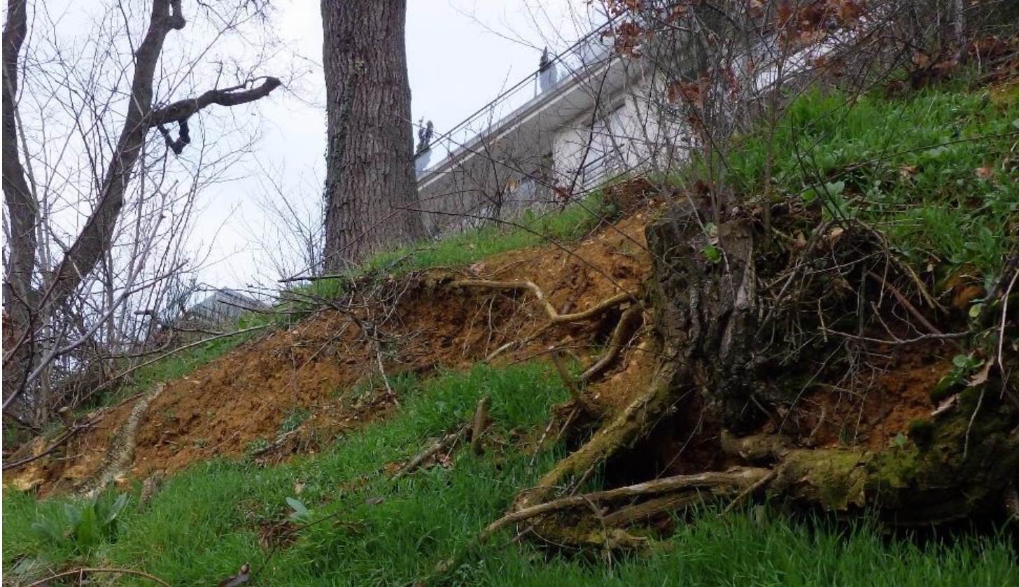 Référence - Géotechnique - Chatenay-Malabry - Talus