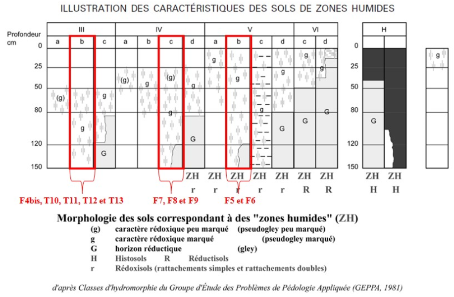 Schéma de la zone