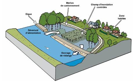 Modélisation mesure compensatoire zone d'expansion de crue