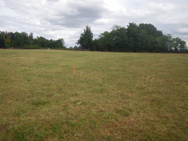 Terrain d'implantation des éoliennes