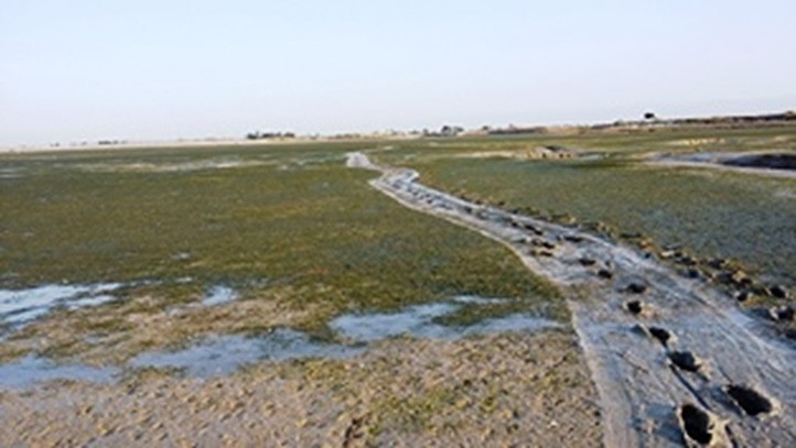 Réseau d'eaux usées à l'Île de Ré