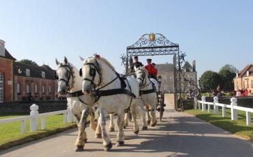 Haras national du Pin