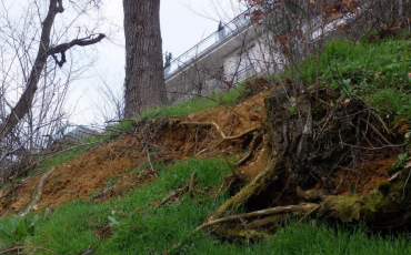 Référence - Chatenay-Malabry - Talus
