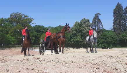 Géotec-Haras-Evenement-chevaux